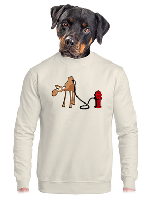 unisex crewneck