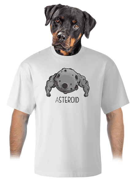 Asteroid unisex túlméretezett póló White