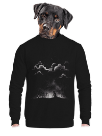 unisex crewneck
