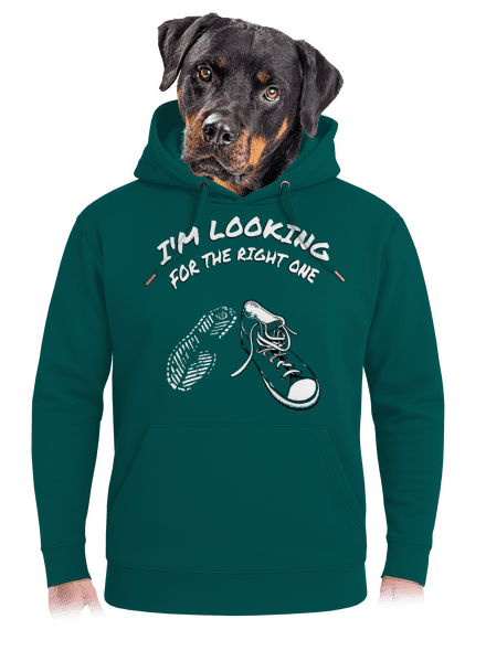 Keresem a megfelelőt unisex prémium pulóver Emerald Green