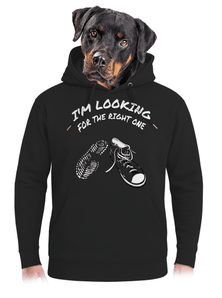 Keresem a megfelelőt unisex prémium pulóver Dark Black
