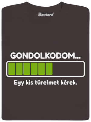 Gondolkodom férfi hosszú ujjú póló Bear Brown