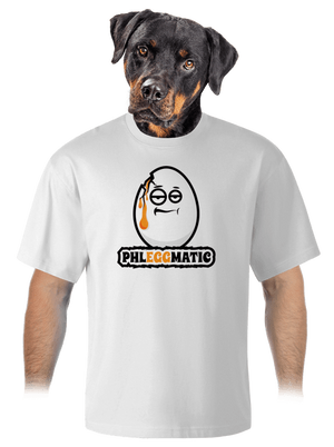 Phleggmatic unisex túlméretezett póló White