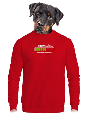 unisex crewneck