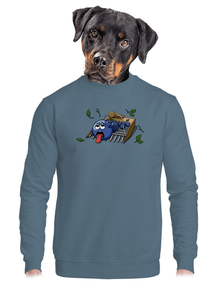 Áfonya unisex crewneck Nordic Blue