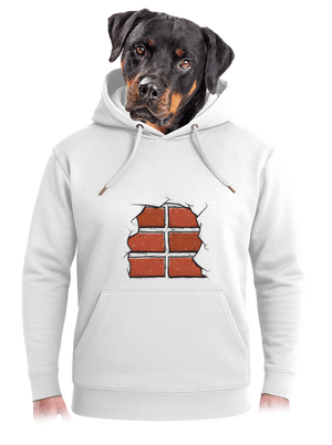 Téglák unisex prémium pulóver Snowwhite