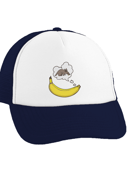 Nőstény harkályok teherautós sapka French Navy cap