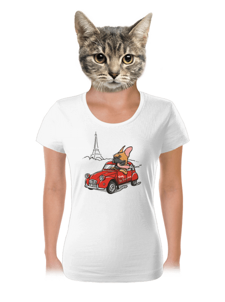 Francia buldog női póló White