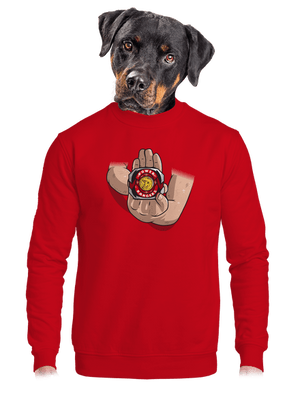 unisex crewneck