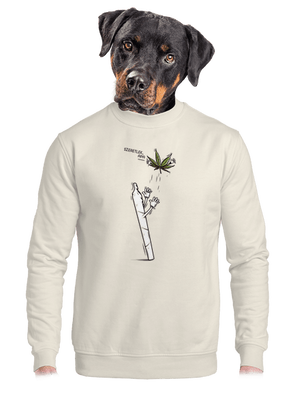 Joint és fia unisex crewneck Off White