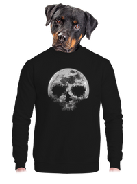 unisex crewneck