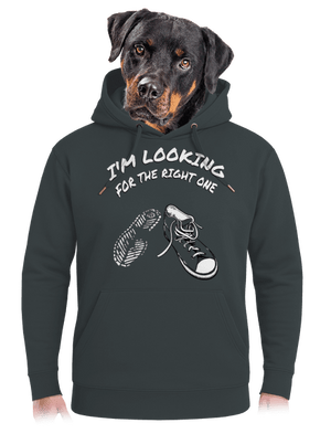 Keresem a megfelelőt unisex prémium pulóver Charcoal