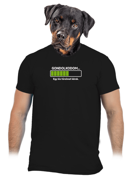 Gondolkodom férfi póló Black