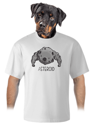 Asteroid unisex túlméretezett póló White