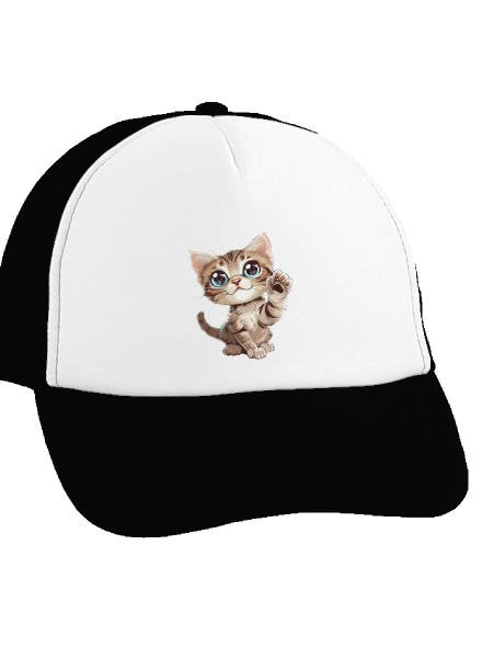 Mancsát rajta teherautós sapka Black cap