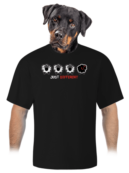Fekete bárány unisex túlméretezett póló Black