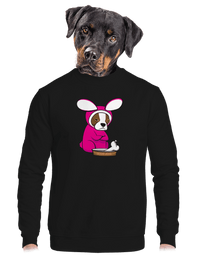 unisex crewneck