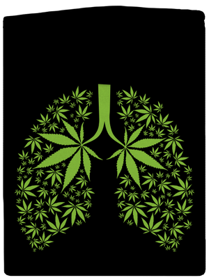 Gandzsa tüdő cipzáras női pulóver Black