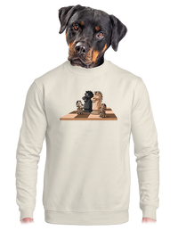 unisex crewneck