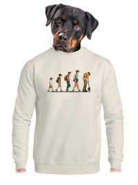 unisex crewneck