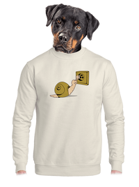 unisex crewneck