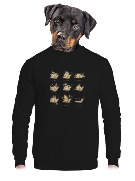 Édes otthon unisex crewneck Black
