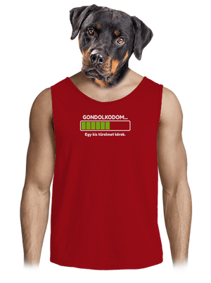 Gondolkodom férfi trikó Red