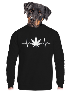 unisex crewneck