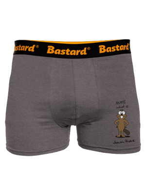 boxeralsó
