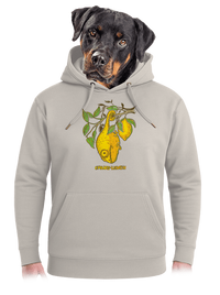 unisex prémium pulóver