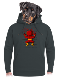 unisex prémium pulóver