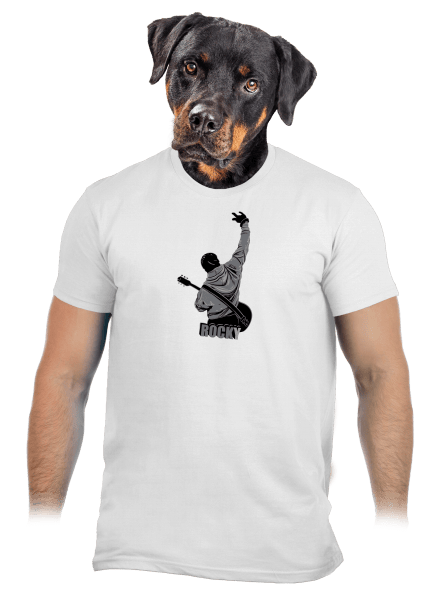 Rocky férfi póló White