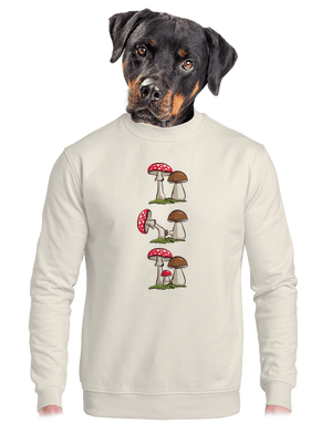 A gombakrónikából unisex crewneck Off White