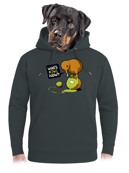Kivi unisex prémium pulóver Charcoal