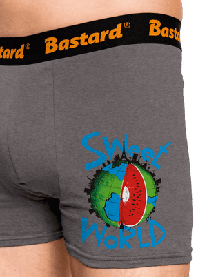 Sweet world boxeralsó Gray Melange