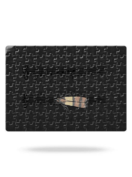 A - moll kirakós White