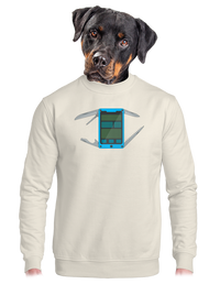 unisex crewneck