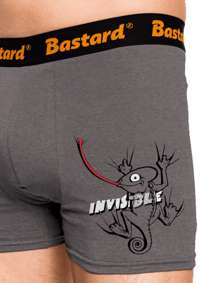 Invisible chameleon boxeralsó Gray Melange