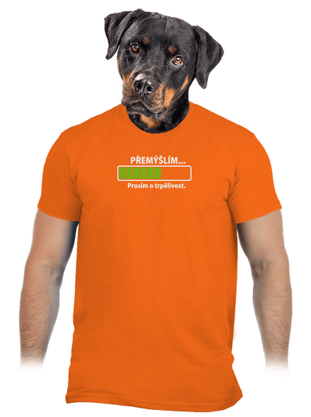 Gondolkodom férfi póló Orange