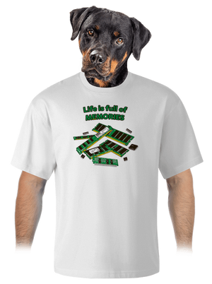 Memóriában tárolva unisex túlméretezett póló White