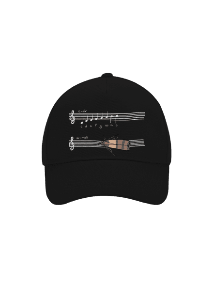 A - moll baseballsapka Black