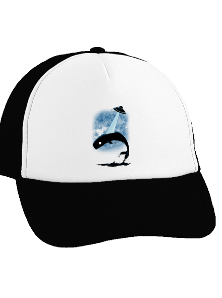 Big fish teherautós sapka Black cap