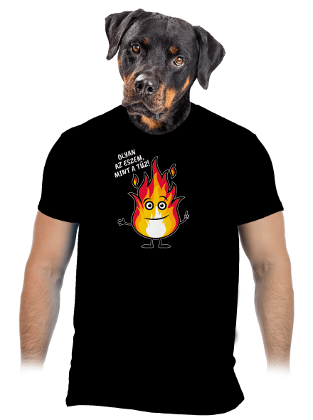 Olyan az eszem, mint a tűz! férfi póló Black
