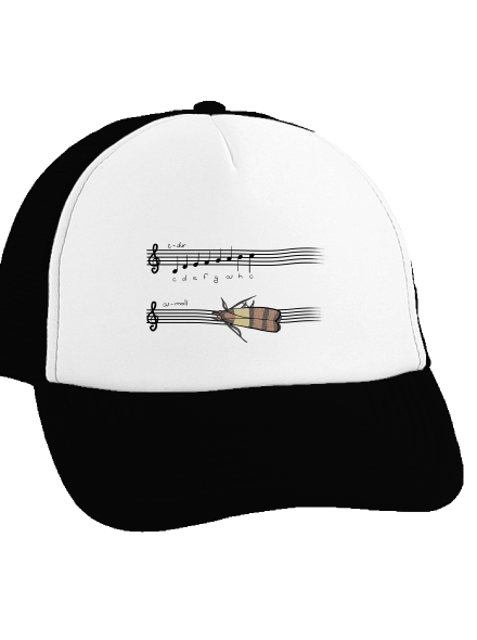 A - moll teherautós sapka Black cap