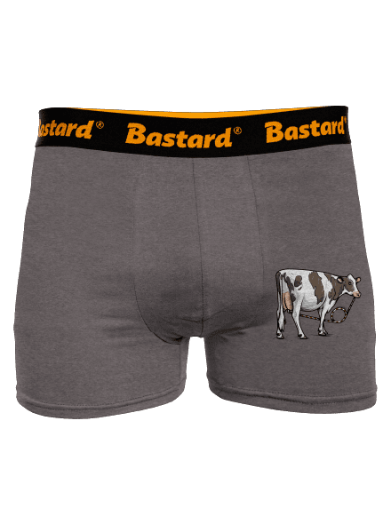 Cow drink boxeralsó Gray Melange