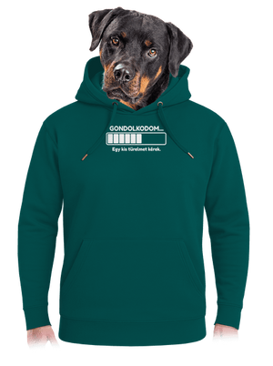 Gondolkodom unisex prémium pulóver Emerald Green