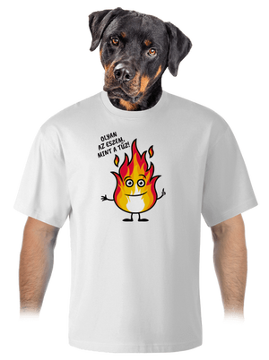 Olyan az eszem, mint a tűz! unisex túlméretezett póló White