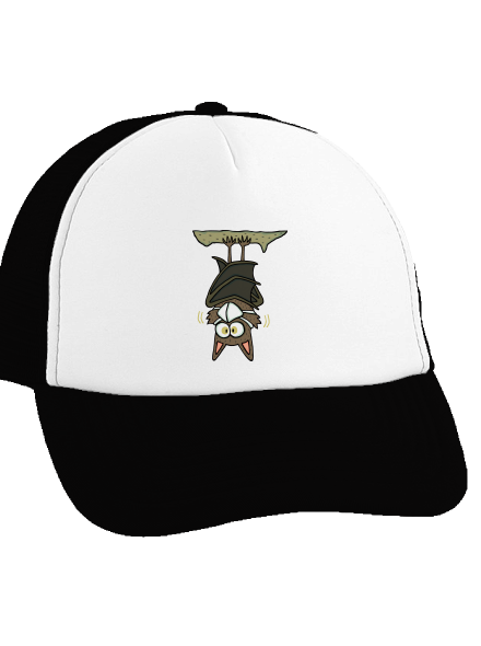 Nanopyr teherautós sapka Black cap