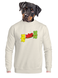 unisex crewneck