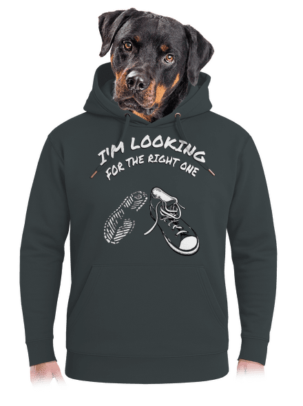 Keresem a megfelelőt unisex prémium pulóver Charcoal